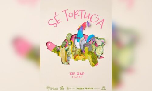sé tortuga